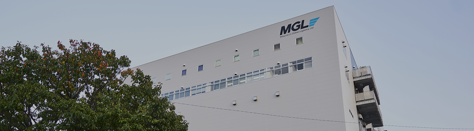 Cosmetics/Health Food/Mail Order Logistics 